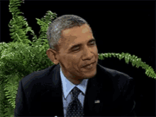 Obama President Obama GIF - Obama President Obama Barack Obama GIFs
