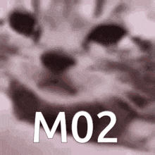 M02 GIF