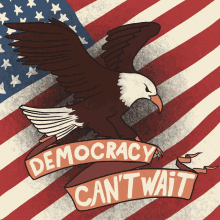Eagle Bald Eagle GIF - Eagle Bald Eagle Democracy GIFs