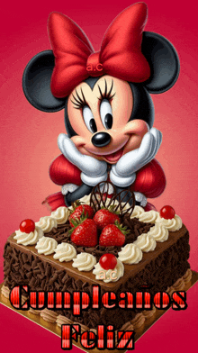 a picture of minnie mouse on a cake with the words cumpleanos feliz