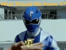 What Should We Name It Black Dino Gem GIF - What Should We Name It Black Dino Gem Blue Dino Ranger GIFs