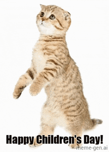 a cat standing on its hind legs with the words happy children 's day