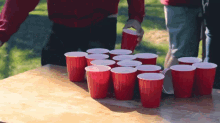Beers & Cups GIF - Stanfordgifs Stanford Drinking GIFs
