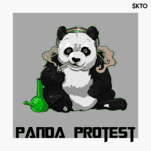 Panda Protest Kountori GIF - Panda Protest Kountori Kto GIFs