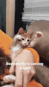 Cute Cat He'S Casting A Spell GIF