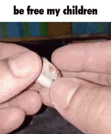 Be Free My Children Spider Unboxing GIF