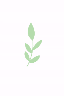 leaf laurel