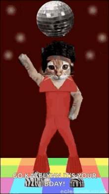 Disco Kitty Dance GIF