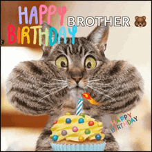Happy Birthday GIF - Happy Birthday Cat GIFs