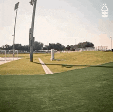 a person is doing a trick on a soccer field with a pole in the background .