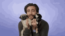 Jake Gyllenhaal Love GIF - Jake Gyllenhaal Love Puppies GIFs
