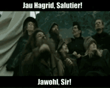 Coldmirror Hagrid GIF - Coldmirror Hagrid Salutier GIFs