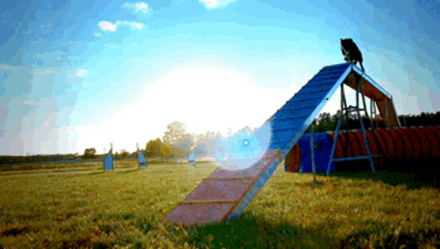 Dogs Slide GIF - Dogs Slide Playground - Discover & Share GIFs