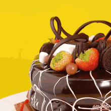 a chocolate cake with strawberries marshmallows and oreos