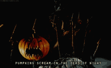 Pumpkin Scream GIF - Pumpkins Scream Dead Of Night GIFs