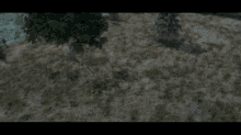a computer generated image of a field with a tree in the middle of it