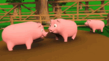 Pigs Cute GIF - Pigs Cute Playing GIFs