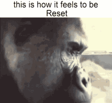 Reset The One N Only GIF