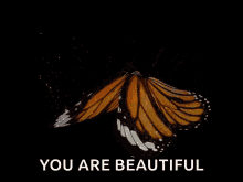 You Are Beautiful Butterfly GIF - You Are Beautiful Butterfly GIFs