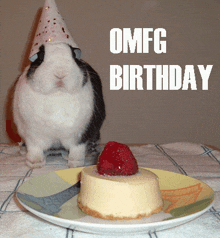 Omfg Birthday GIF - Omfg Birthday Bunny GIFs