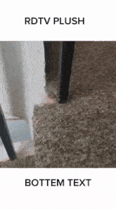 a picture of a cat standing on a carpet next to a chair .