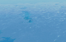 a sailfish is swimming in the ocean and looking for food .