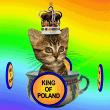 King Of Poland Chamber Pot GIF - King Of Poland King Chamber Pot GIFs