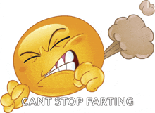 an angry smiley face with the words cant stop farting written below it