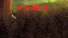 Shibui Shibui Universe GIF - Shibui Shibui Universe Shibuiuniverse GIFs