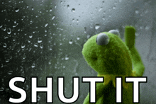 kermit the frog is looking out of a window with the words shut it written below him