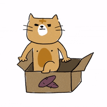 animal kitty cat cute box