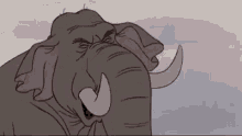 Elephant Ross GIF