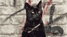 Black Cat Nail File GIF - Black Cat Nail File Waiting GIFs