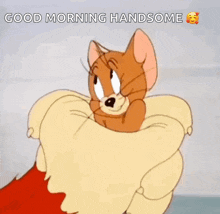 Tom And Jerry Flattered GIF