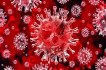 Virus Bacteria GIF - Virus Bacteria Cell GIFs