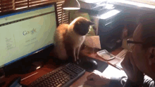 Technophobic Cat GIF - Cat Push Hands GIFs