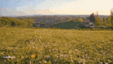 a field of grass and flowers with the word getimages in the corner