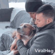 Kiss A Dog Viralhog GIF - Kiss A Dog Viralhog We Love You GIFs