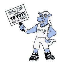 protect texans freedom to vote vote how we choose texas texas voting texas voter