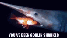 Goblin Shark GIF - Goblin Shark GIFs