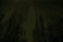 Northern Lights GIF