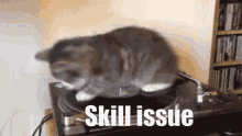 Stand Skill Issue Stand GIF - Stand Skill Issue Skill Issue Stand GIFs