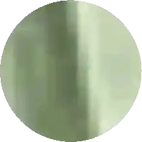 a green circle with a white background and a few lines on it