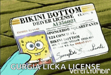 Sponge Bob License GIF - Sponge Bob License Drivers License GIFs
