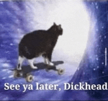 a cat is riding a skateboard on a purple background with the words `` see ya later , dickhead '' .