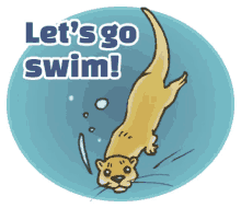 otter lets go swim swimming water