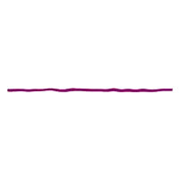 a purple line on a white background