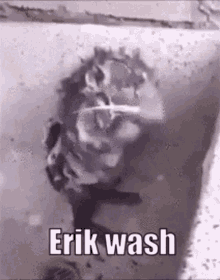 Erik Wash GIF - Erik Wash Erik Wash GIFs