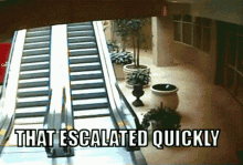 That Escalated Quickly Escalator GIF - That Escalated Quickly Escalator GIFs