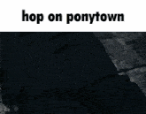 Ponytown Pony Town GIF - Ponytown Pony Town Denji GIFs